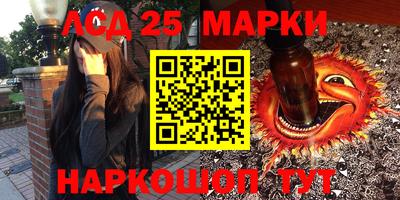 мдпв Кингисепп