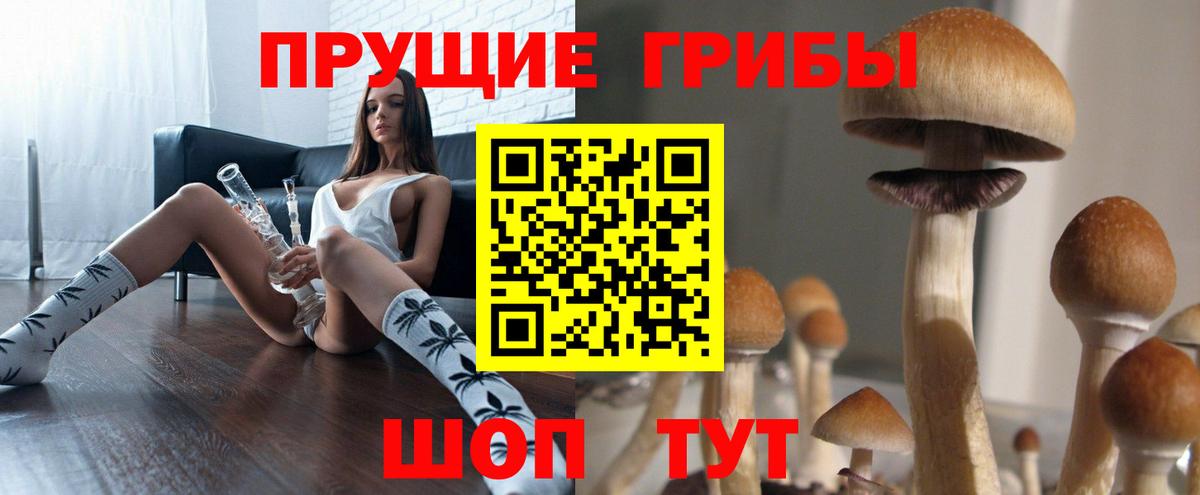 Псилоцибиновые грибы GOLDEN TEACHER  Вход с VPN  Псилоцибиновые грибы Cubensis  Балашов 